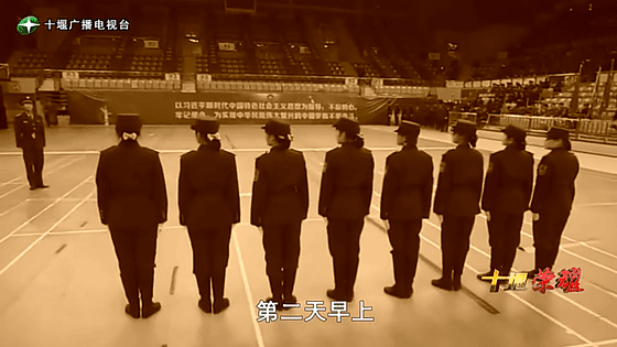 創(chuàng)業(yè)是一條無(wú)比艱辛的路，創(chuàng)新更是無(wú)限風(fēng)光在險(xiǎn)峰。在男性為主導(dǎo)的商海里，女性創(chuàng)業(yè)創(chuàng)新需要鼓足十萬(wàn)分的勇氣和力量，是挑戰(zhàn)未來(lái)成功的小概率事件。而十堰姑娘楊麗便是這小概率事件中的一個(gè)傳奇，也是女性創(chuàng)業(yè)創(chuàng)新的榜樣。今天就來(lái)認(rèn)識(shí)這位傳奇女性-興千田集團(tuán)楊麗。