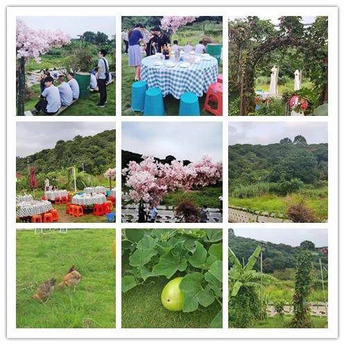 2020年興千田集團(tuán)迎中秋、慶國(guó)慶聚餐活動(dòng)